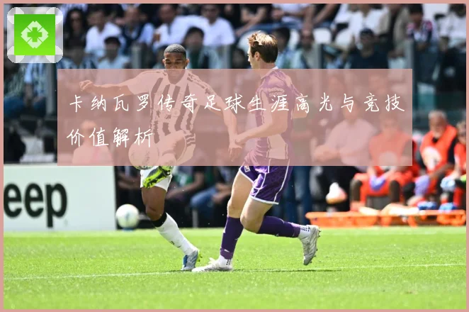 卡纳瓦罗传奇足球生涯高光与竞技价值解析