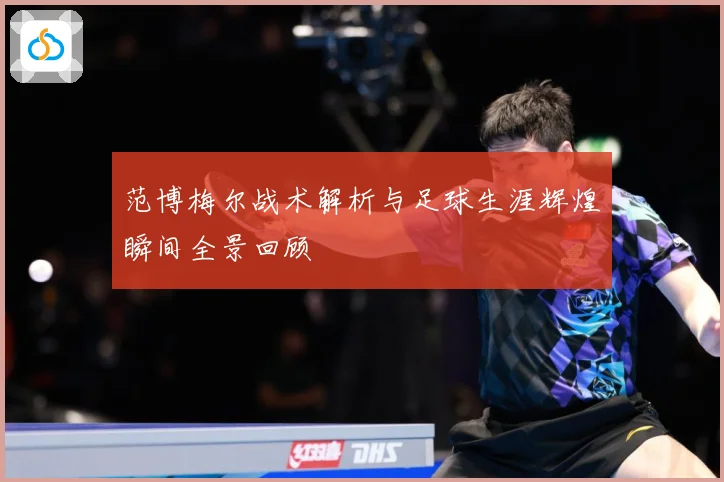 范博梅尔战术解析与足球生涯辉煌瞬间全景回顾