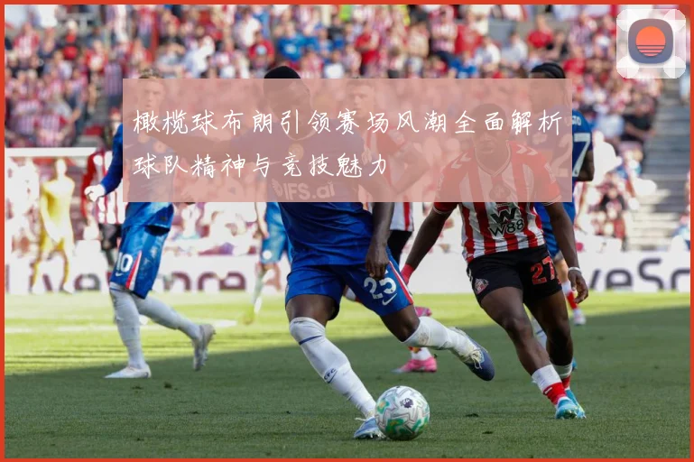 橄榄球布朗引领赛场风潮全面解析球队精神与竞技魅力