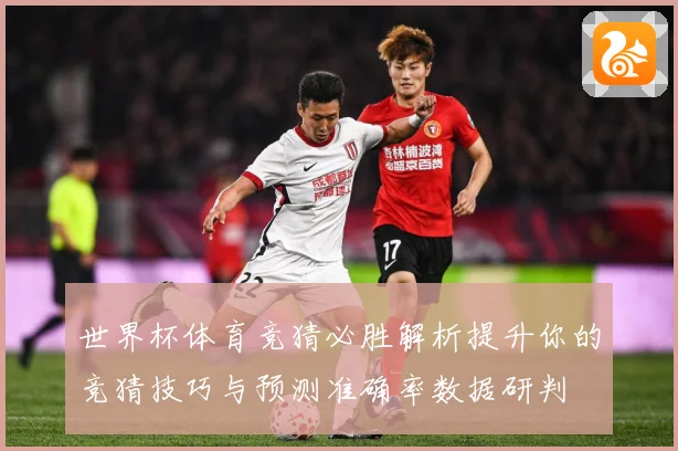 世界杯体育竞猜必胜解析提升你的竞猜技巧与预测准确率数据研判